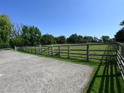 Picture 33